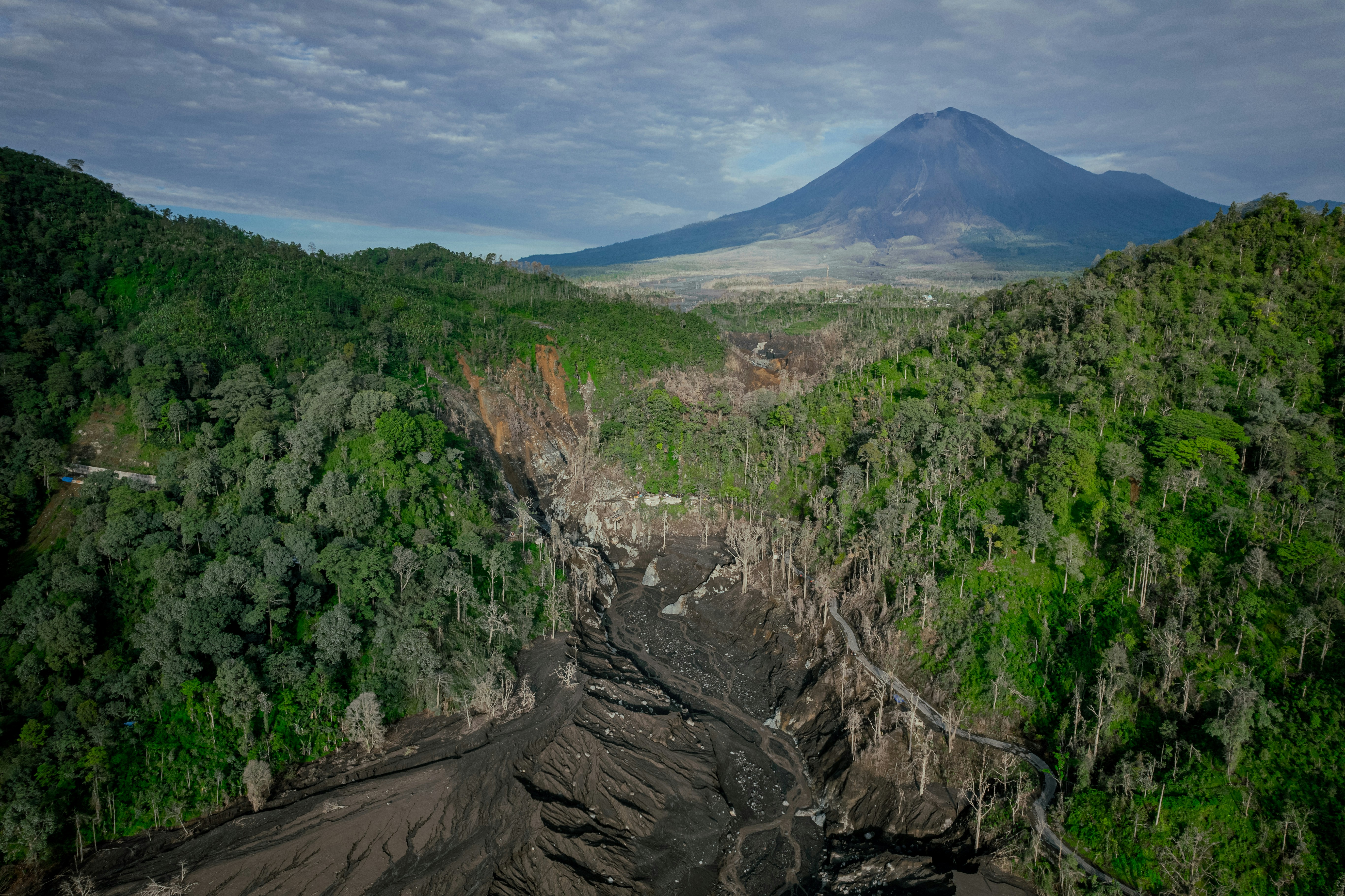 Everything You Need to Know Before Your First Gorilla Trek