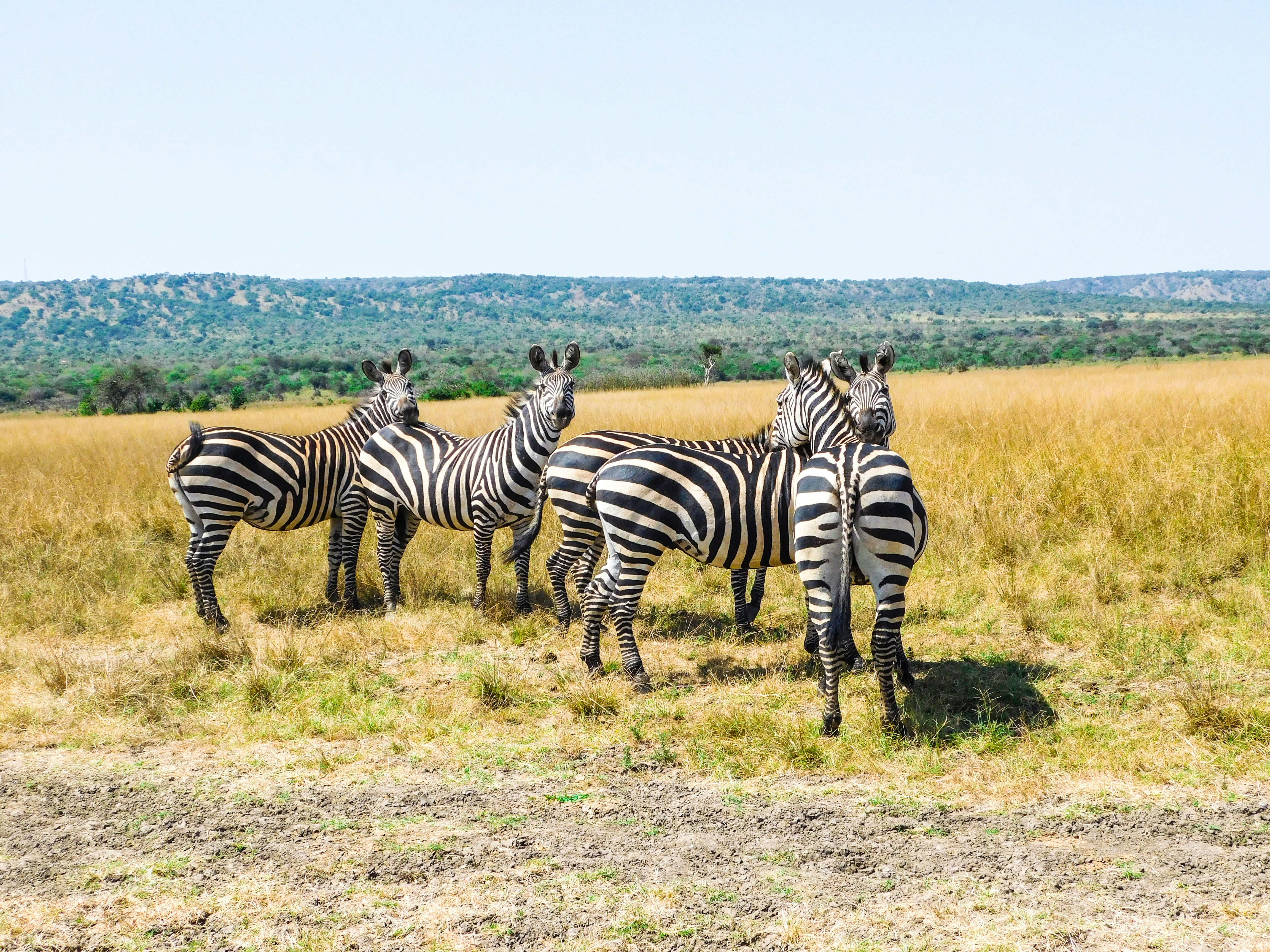 Akagera Big Five Safari